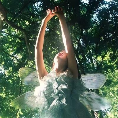 同志亦凡人第四季